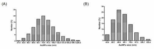 금 나노 입자의 크기 측정 (A) 세포추출물에 포함된 금 나노입자의 크기의 분포도 (B) 초음파분쇄 이후의 금 나노 입자 크기의 분포도