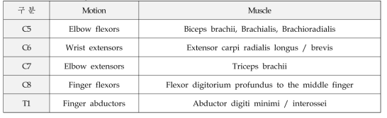 Level 별 key muscles