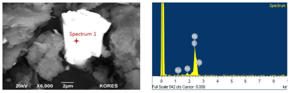 BSE-SEM Image and Corresponding Spectra(Float products in the Sulfide Flotation)