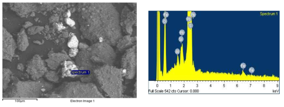 BSE-SEM Image and Corresponding Spectra(Float products in the Sulfidization Flotation)