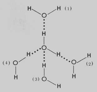 물 분자 사이의 수소 결합