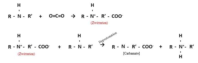 Amine 계열 용매와 CO2 기체의 합성에 의한 Carbamate 형성 기작 (McCann et al., 2009)