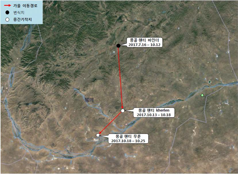 검독수리(IDbr17016)의 이동경로(‘17.7.16 - ‘17.10.25)