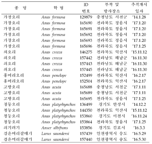 인공위성 추적발신기를 부착한 조류의 부착장소 및 추적개시 일자