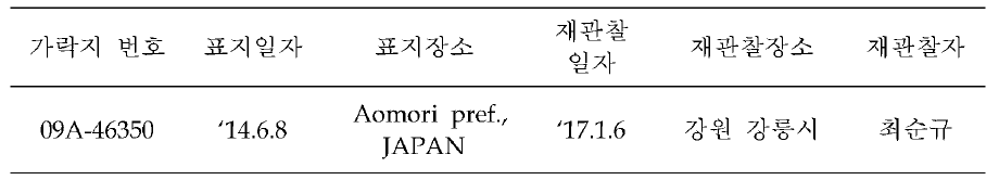 가락지를 부착한 괭이갈매기의 표지 정보 및 재관찰 정보