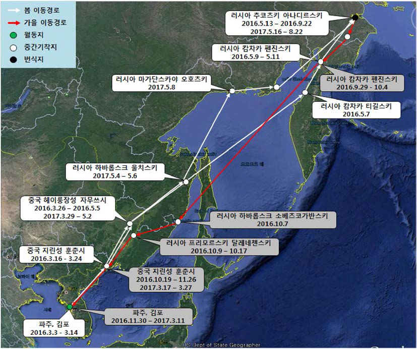 쇠기러기(ID 153856)의 이동경로(‘16.3.3 - ‘17.8.22)