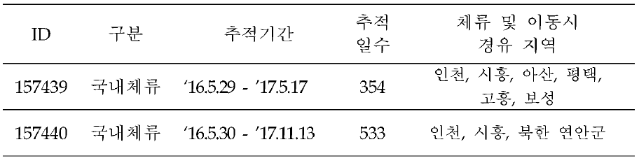 검은머리갈매기의 이동경로 위성추적 결과