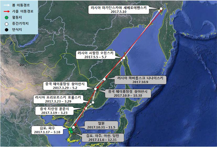 쇠기러기(br1670)의 이동경로 (‘17.1.17 - ‘ 17.12.31)
