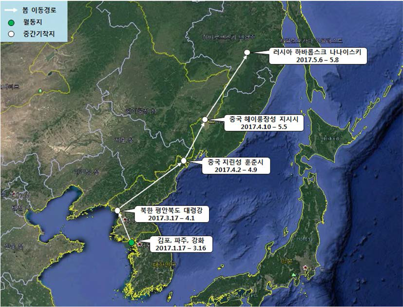 쇠기러기(br1672)의 이동경로 (‘17.1.17 - ‘17.5.8)
