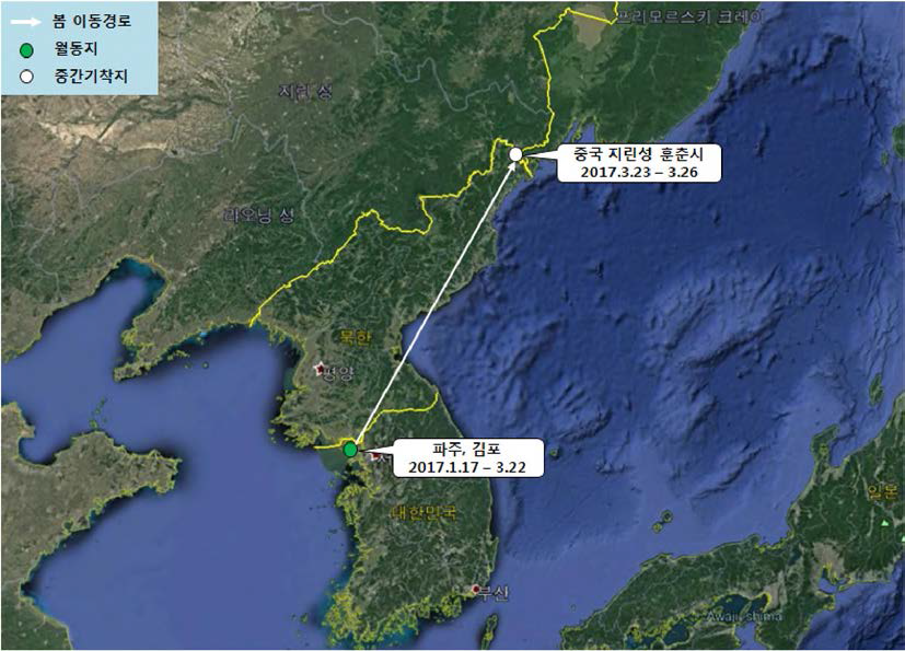 쇠기러기(br1674)의 이동경로(‘17.1.17 - ‘17.3.26)