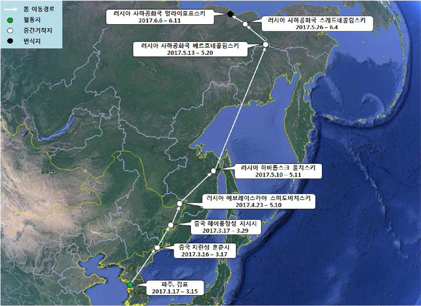 쇠기러기(br1675)의 이동경로 (‘17.1.17 - ‘17.6.11)