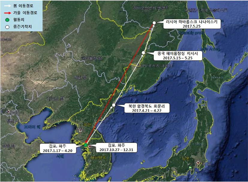 쇠기러기(br1676)의 이동경로 (‘17.1.17 - ‘17.12.31)