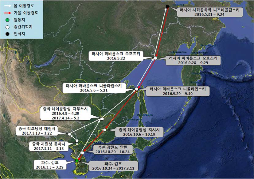 큰기러기(br1546)의 이동경로 (‘16.3.3 - ‘ 17.5.2)