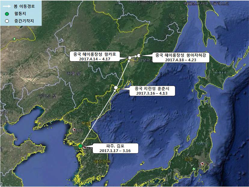 큰기러기(br1678)의 이동경로 (‘17.1.17 - ‘17.4.23)