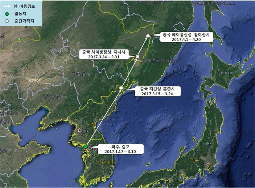 큰기러기(br1679)의 이동경로 (‘17.1.17 - ‘17.4.20)