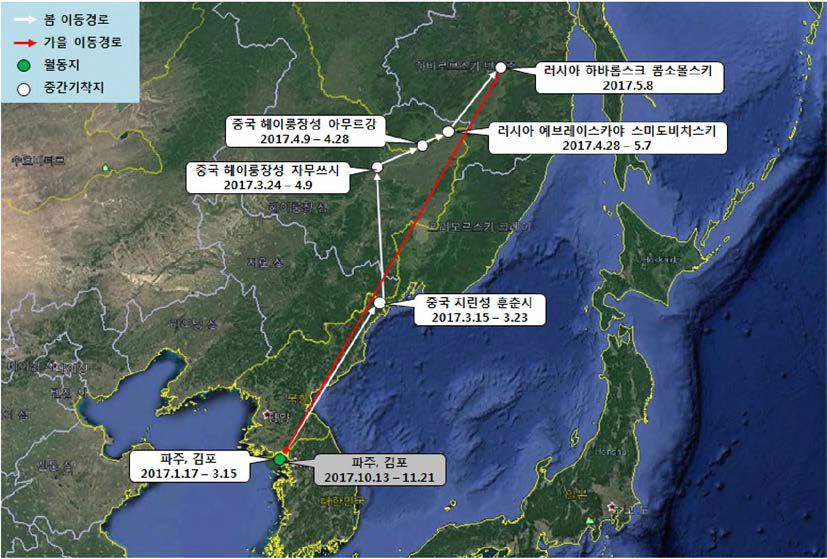 큰기러기(br1682)의 이동경로 (‘17.1.17 - ‘17.11.21)