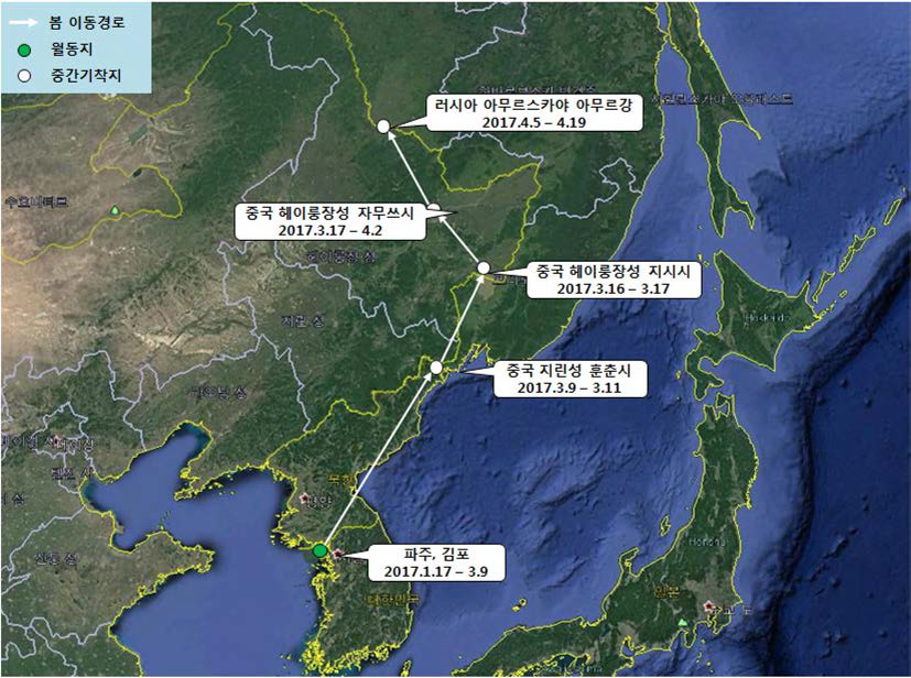 큰기러기(br1683)의 이동경로(‘17.1.17 - ‘17.4.19)