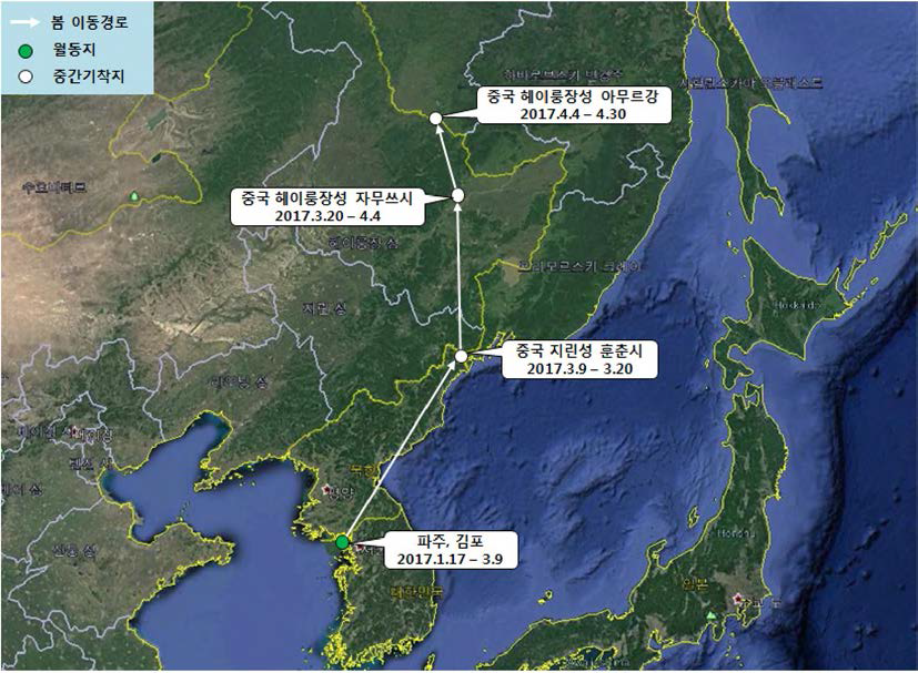 큰기러기(br1685)의 이동경로 (‘17.1.17 - ‘17.4.30)