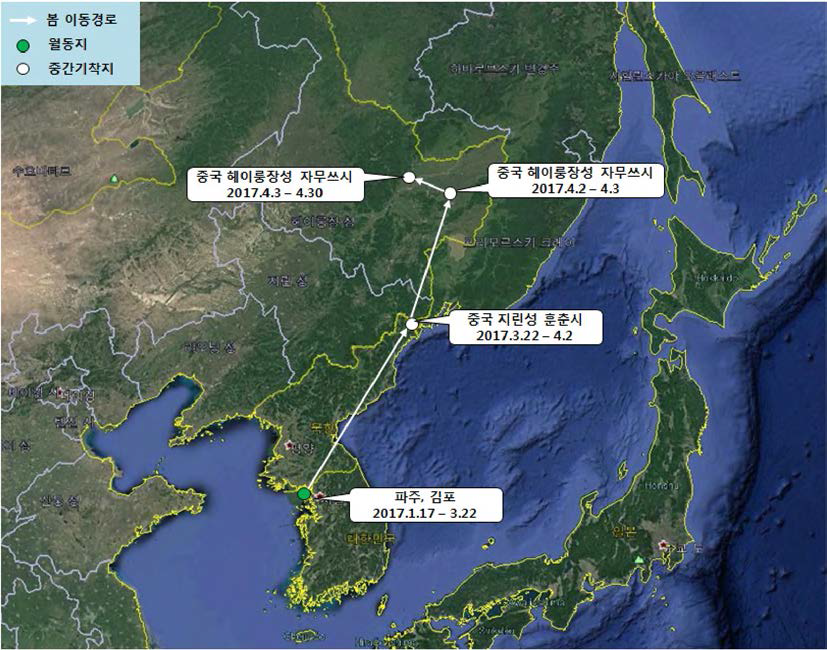 큰기러기(br1687)의 이동경로 (‘17.1.17 - ‘17.4.30)