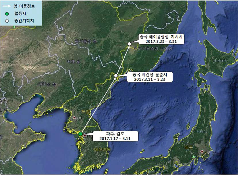 큰기러기(br1690)의 이동경로(‘17.1.17 - ‘17.3.31)