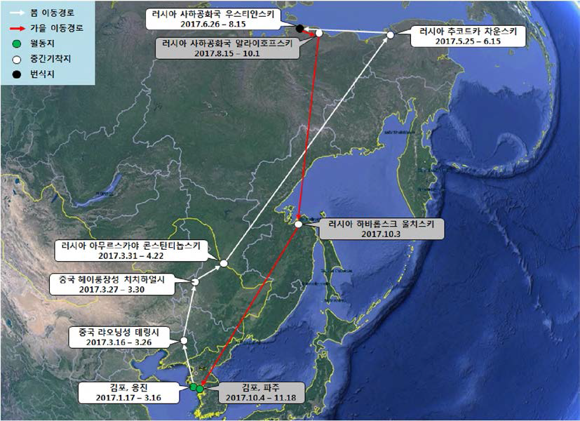 큰기러기(br1691)의 이동경로 (‘17.1.17 - ‘17.11.18)