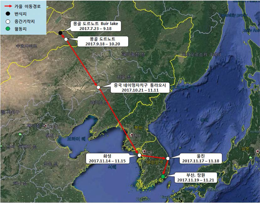 큰고니(br17015)의 이동경로(‘17.7.23 - ‘17.11.21)