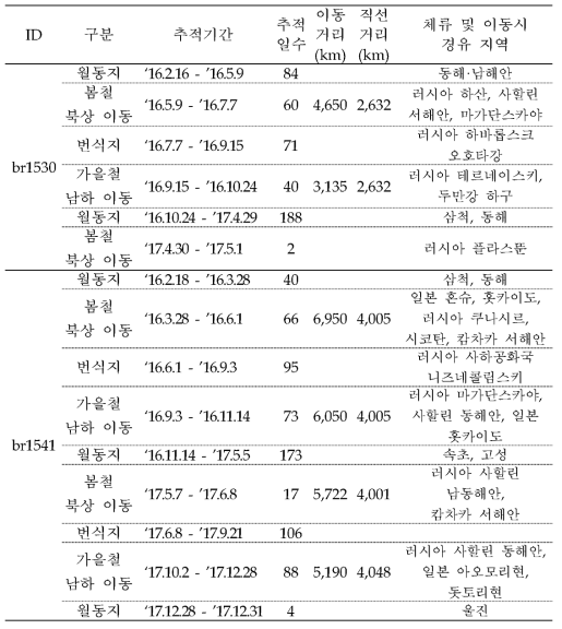 재갈매기의 이동경로 GCT 추적 결과