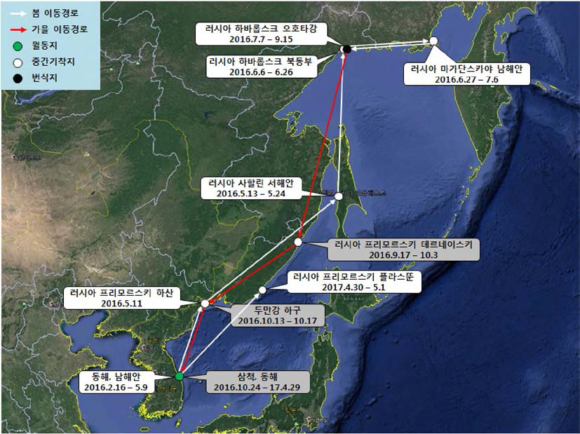 재갈매기(br1530)의 이동경로(‘16.2.16 - ‘17.5.1)