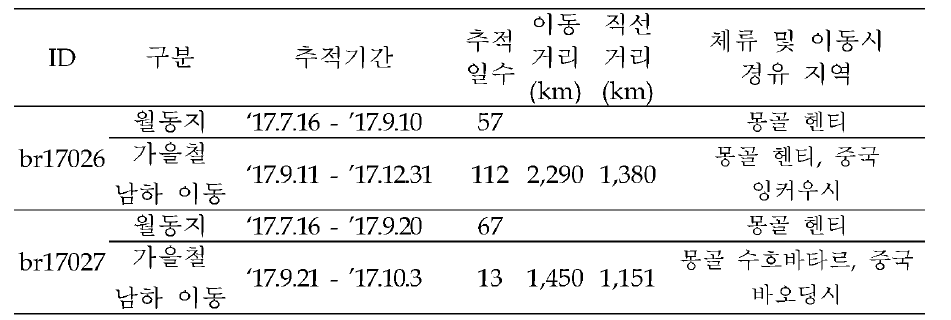 한국재갈매기의 이동경로 GCT 추적 결과