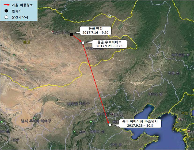 한국재갈매기(IDbr17027)의 이동경로(‘17.7.16 - ‘17.10.3)