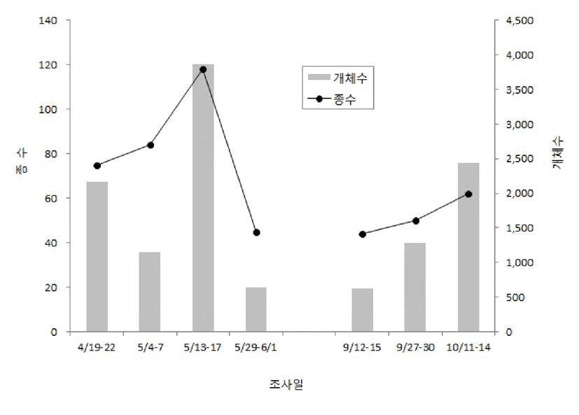 2017년 봄•가을 소청도에서 관찰된 조류의 종수 및 개체수