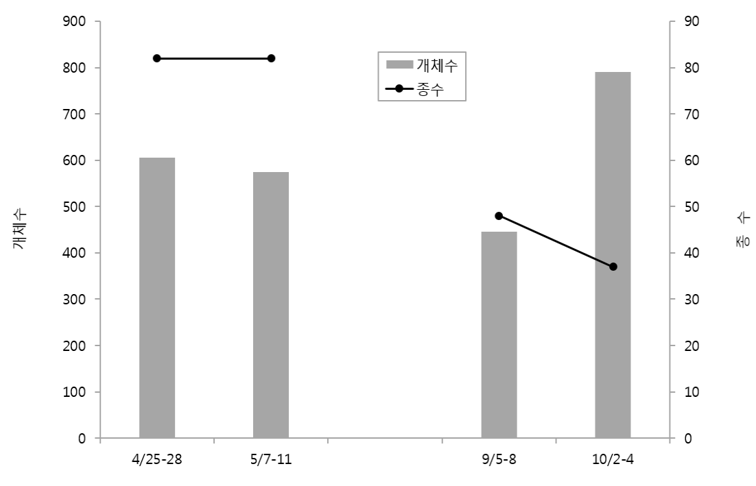 2018년 봄‧가을 어청도에서 관찰된 조류의 종수 및 개체수 변화