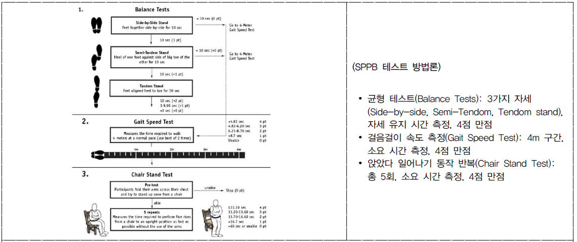 SPPB 테스트 방법론