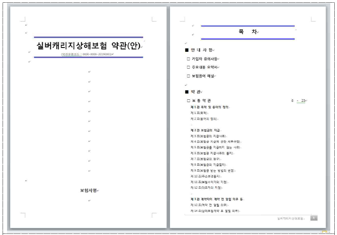 실버캐리지 상해보험 약관(안)