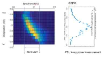 FEL spectrogram(좌, X축 photon energy, Y축 time) 및 Intensity 분포(우)