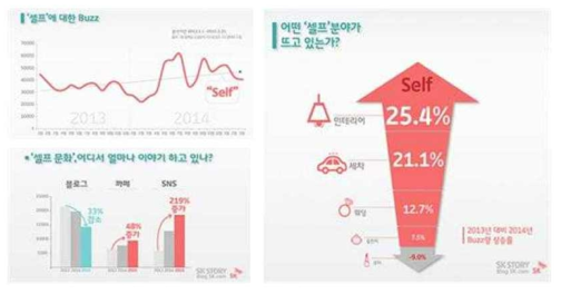 셀프(self)문화에 대한 인식 및 동향 [출처: MEDA SK, 2015.05]