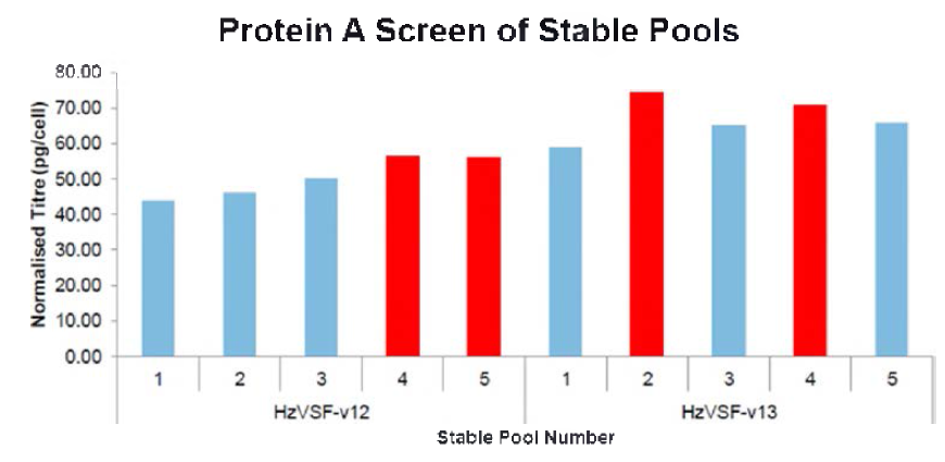 각 variant의 stable pool의 상대적인 hzVSF 발현 수준 . 11 일째 배양액을 이용하여 선별하였으며, 적색 바는 각 variant에서 발현을 많이 하는 2개의 stable pool 세포주 임