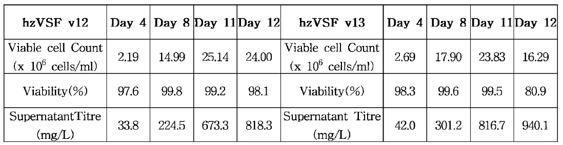 hzVSF v12와 v13을 발현하는 세포의 세포수 , 세포 생존율，및 생산율 비교
