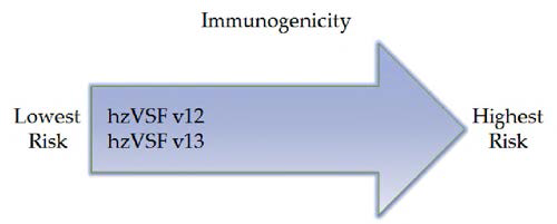 hzVSF v12 및 v13의 임상 적용시 면역원성으로 작용할 가능성