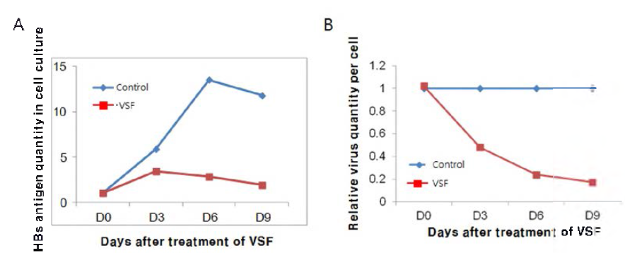 mVSF의 HepG2.2.15 세포에서의 항 - HBV 효과