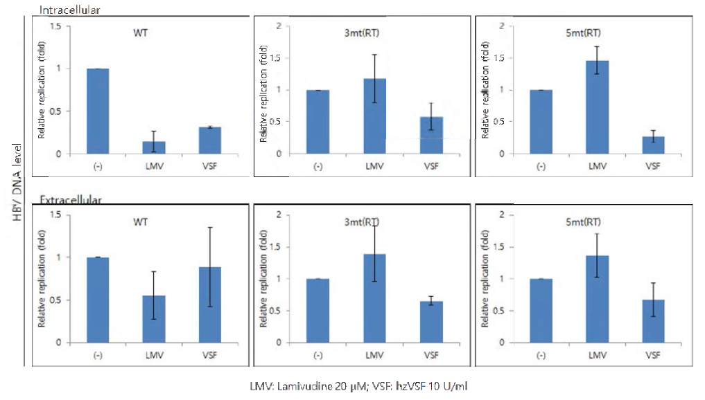 Lamivudine 내성 HBV replicon에서 hzVSF v13의 효능 평가