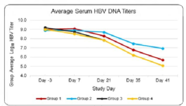 평균 혈청내 HBV titier(Group 1: 감염군 , Group 2: 1 mg/kg 투여군 , Group 3: 10