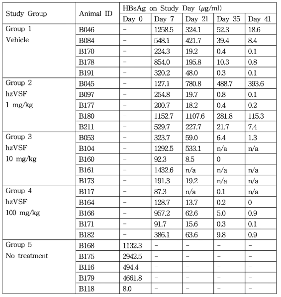 시험 동물의 혈청내 HBsAg titer
