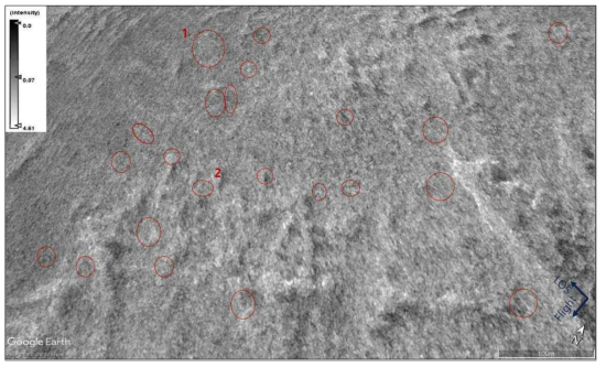 Ground Range Detected 영상 (0824 TerraSAR-X Descending)