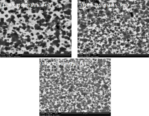 상압 소결 공정에 의해 제조된 Fe-Ti(C0.5N0.5) 소결체 미세조직