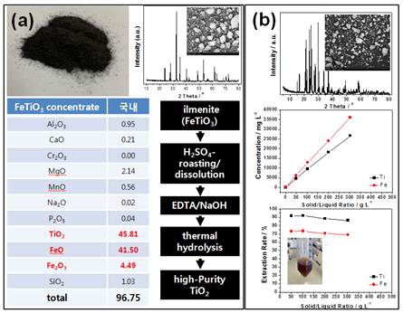 국내산 일메나이트 정광 특성, 고순도 TiO2 제조 공정 (a) 및 황산로스팅 결과 (b)
