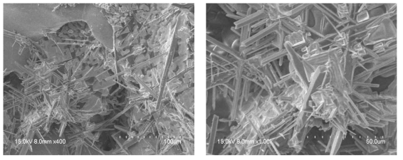 CaF2-BaF2–LiF 3원계 전해지지염을 활용한 용융염 전해에서 얻어진 Ti 금속 사진