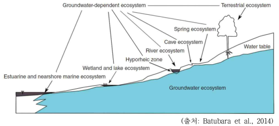 지하수의존생태계 개념모델
