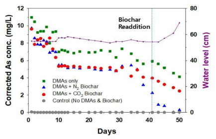 마이크로코즘별 시간에 따른 DMAs(V) 농도 변화