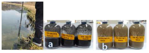 습지 퇴적물의 비교란 코어 샘플링 및 BMP배치 셋팅((a) 광산지역 기질물질 (b) 인공생태습지지역 기질물질)